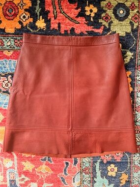 ALC Leather Mini Skirt